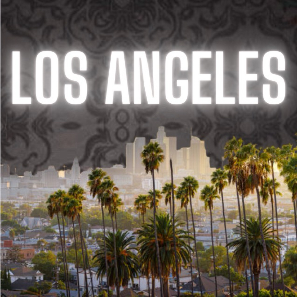 Los Angeles Loc Style Only at Hair by Kham in (Mid-City Address Sent After Booking, CA