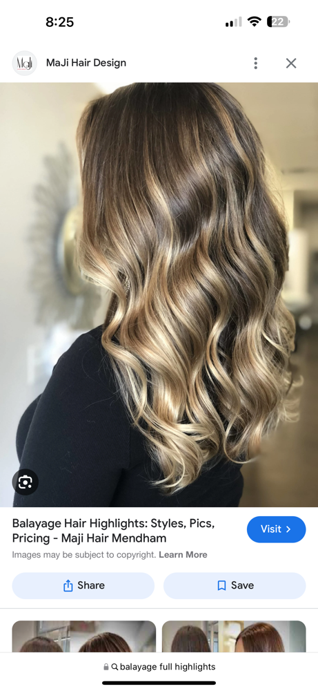 Partail Highlight/ Partail Balayage