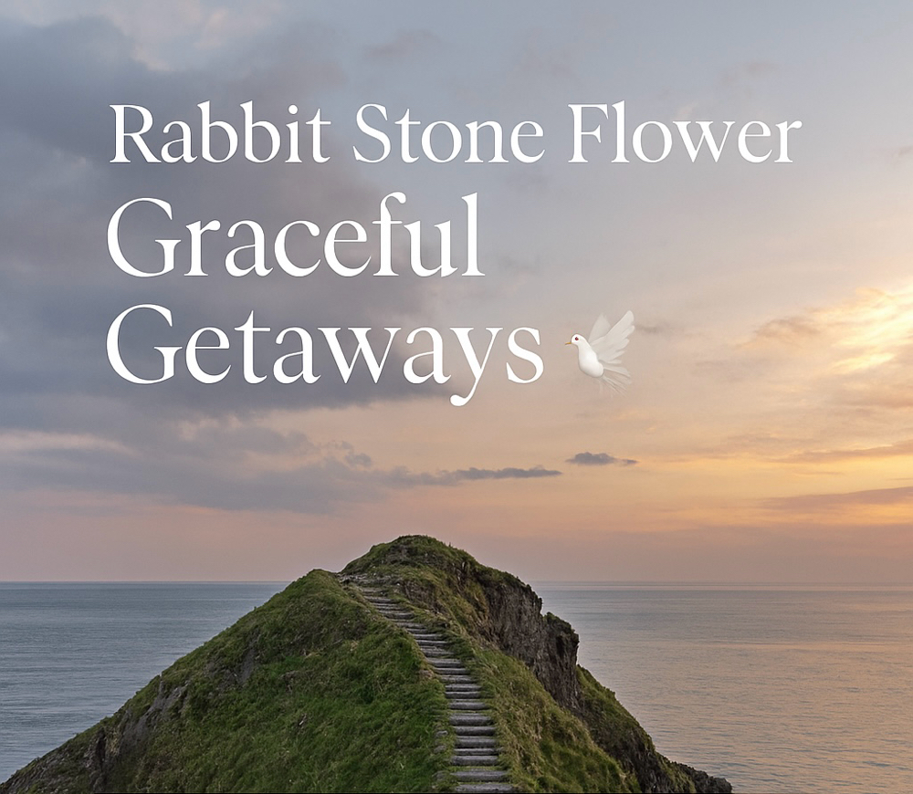 *🫶🏾*R. S. F Graceful Getaways✈️ at Rabbit . Stone . Flower Assisted Healing Sanctuary in Castro Valley, CA