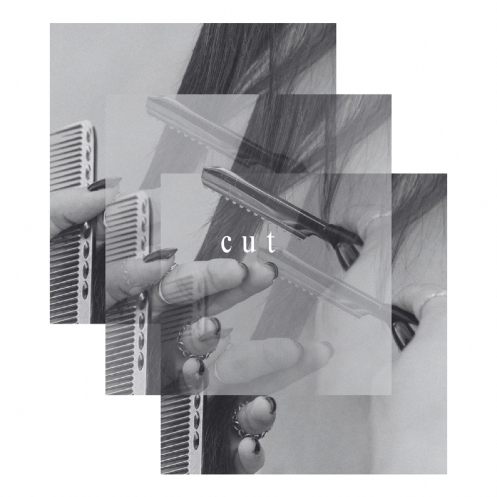 Long cut at Lexias Looks in Chandler, AZ