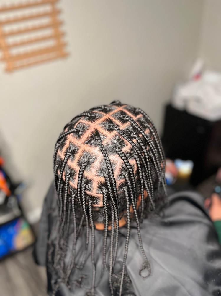 Box Braids (Natural)
