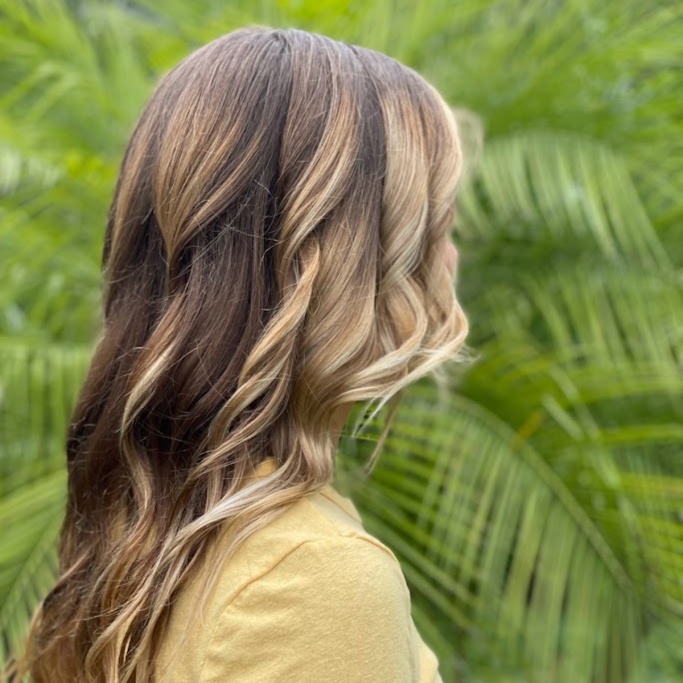 Partial Foil (Highlight Only) at Honey & Comb Hair Studio in Venice, FL