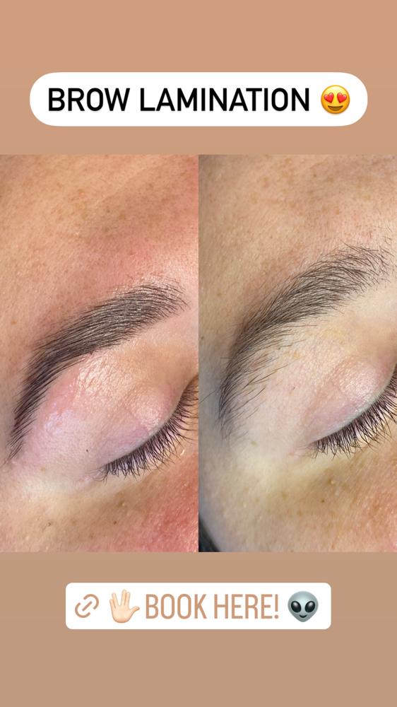 Brow Mapping (no tint)