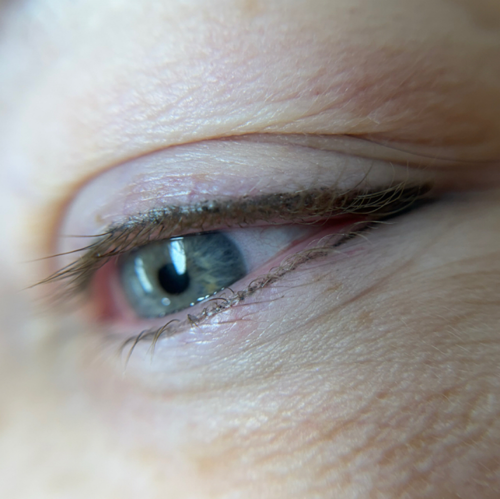 Eyeliner Top Or Bottom at Tiffany lux brows in Albuquerque, NM