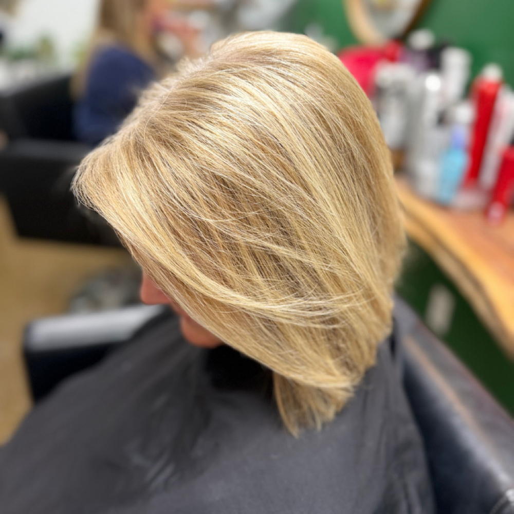 Shampoo+Cut+Style at Tangled Salon & Co. in Florence, SC