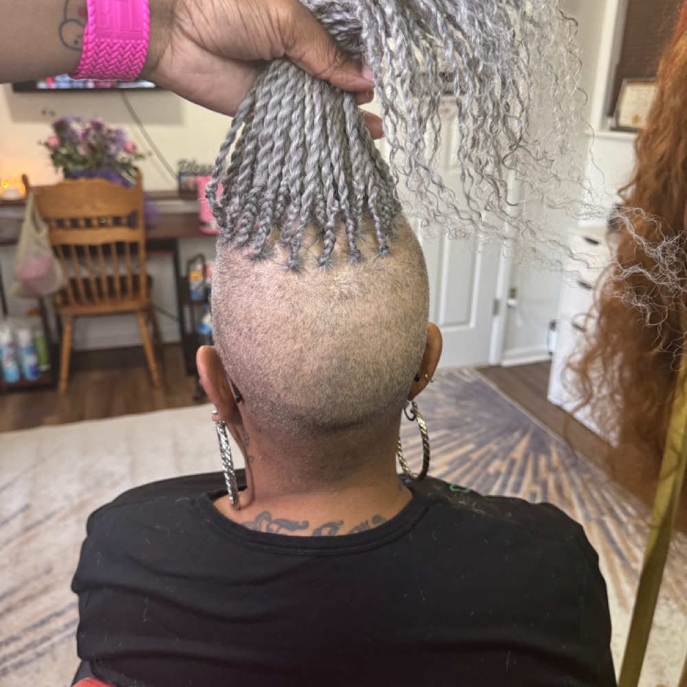 Small Plaits Top Only at Preciousstylez in Pittsburgh, PA