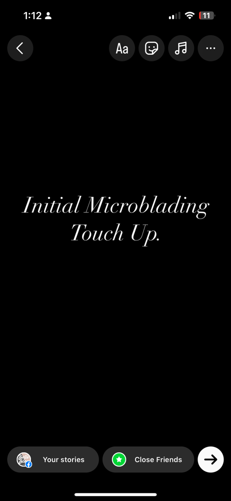 Initial Microblading Touch Up