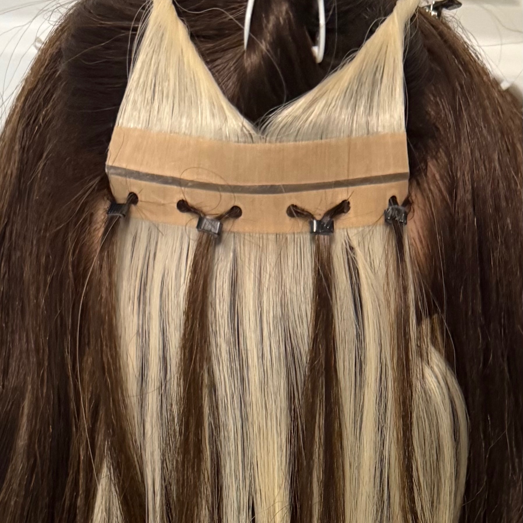 Butterfly Wefts at Suzanna’s Day Dreamers in Alpharetta, GA