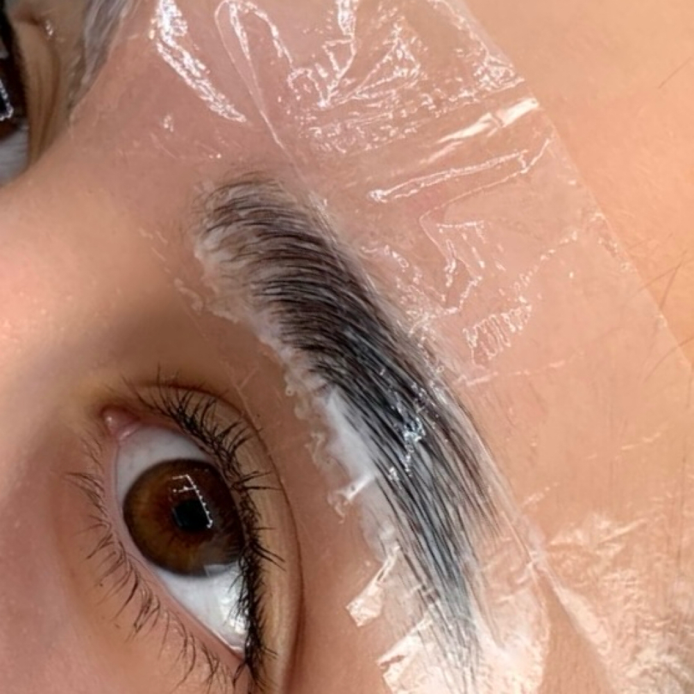 Brow Lamination at The Esthetics Lounge in Houston, TX
