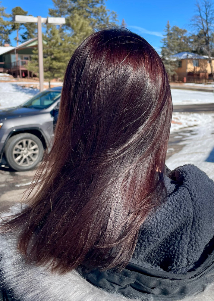All Over Color With Hair Cut