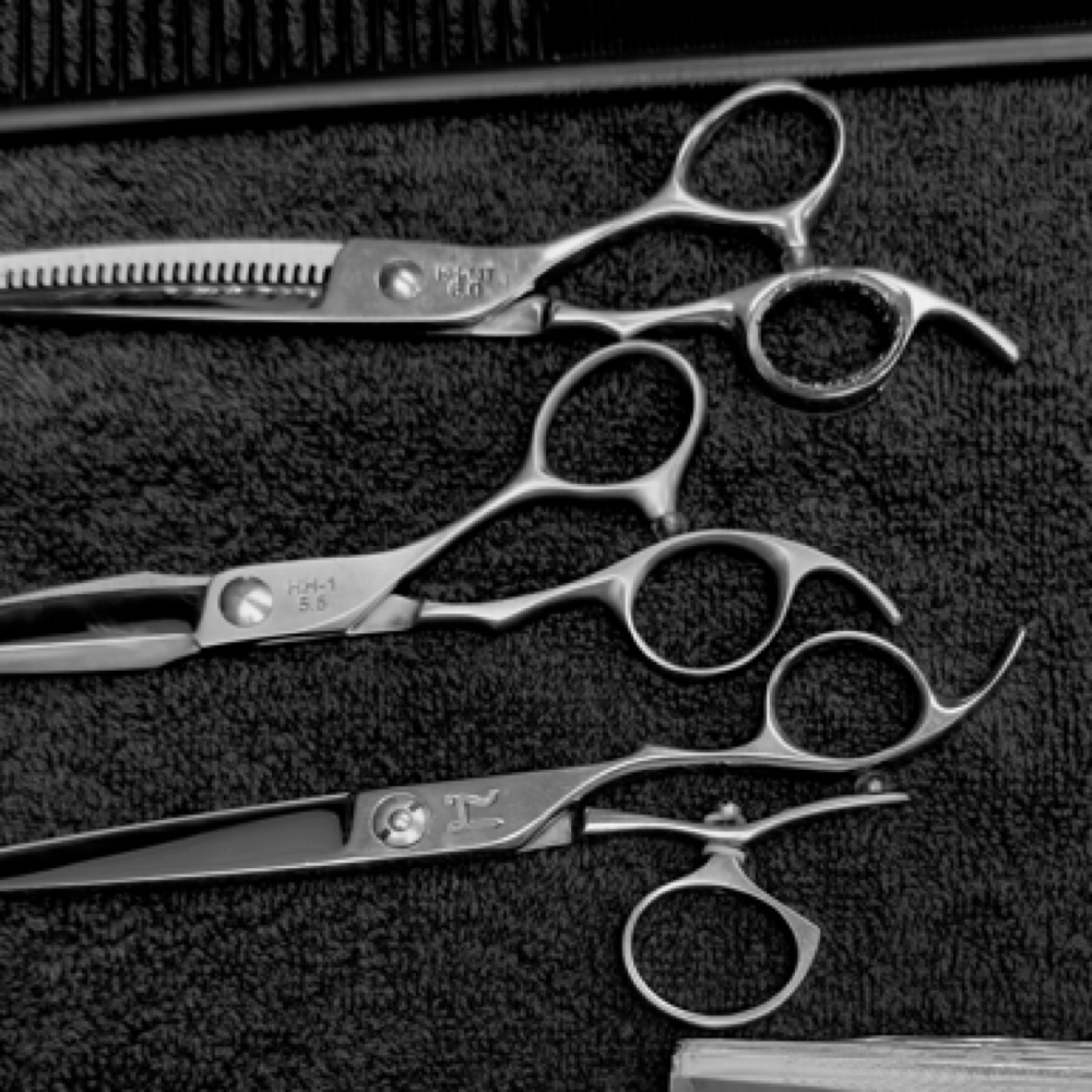 Kids Cut (10 And Under) at Haileysullivanhairco in Tallahassee, FL