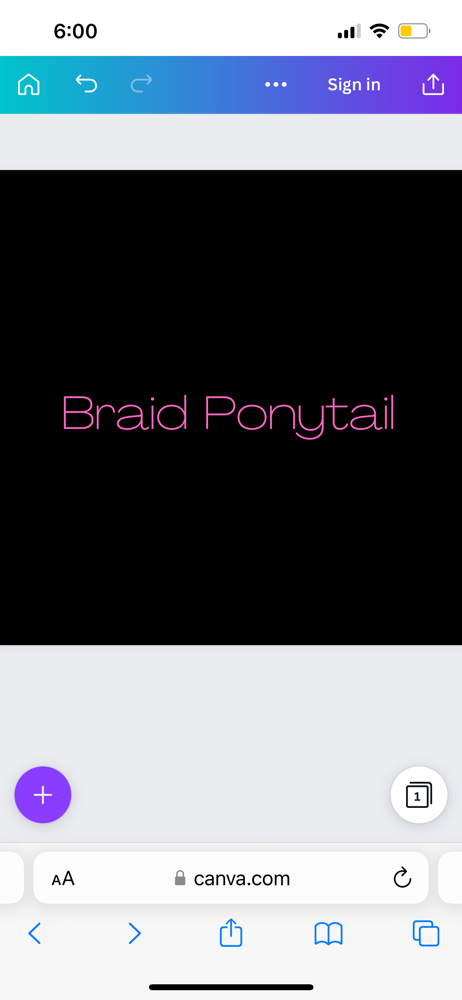 Braid Ponytail