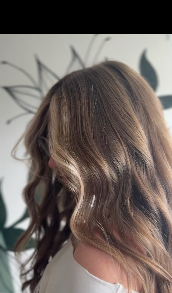 Money Piece at Hair by Katee in Lindon, UT