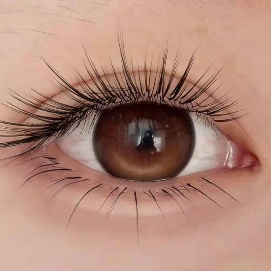 Designer Wispy(LB/LC/LD) refill at Kivya lashes in Rancho Cucamonga, CA