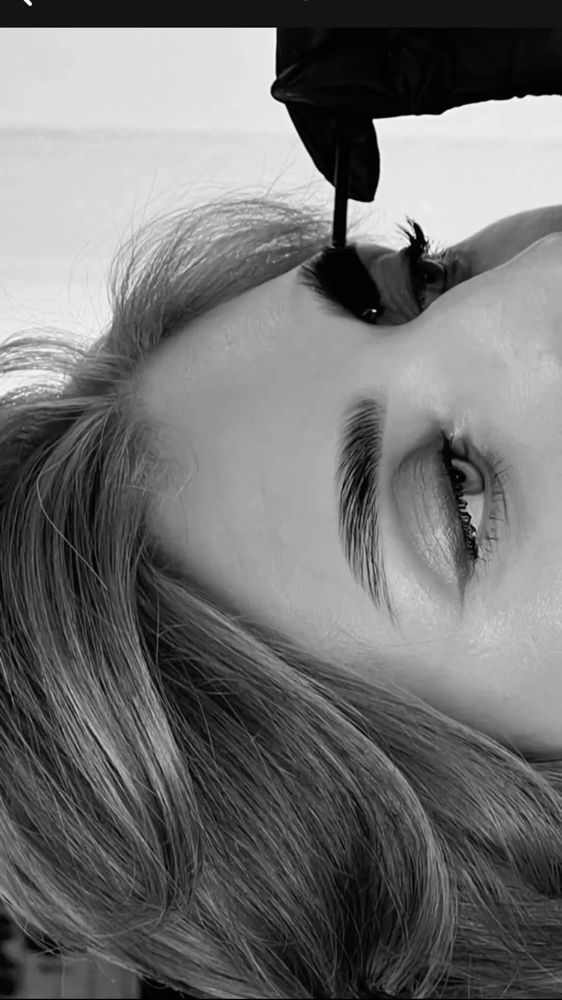 BROW RITUAL - Tint + Shape + Lami at IVORY & INK STUDIO in Salmon, ID