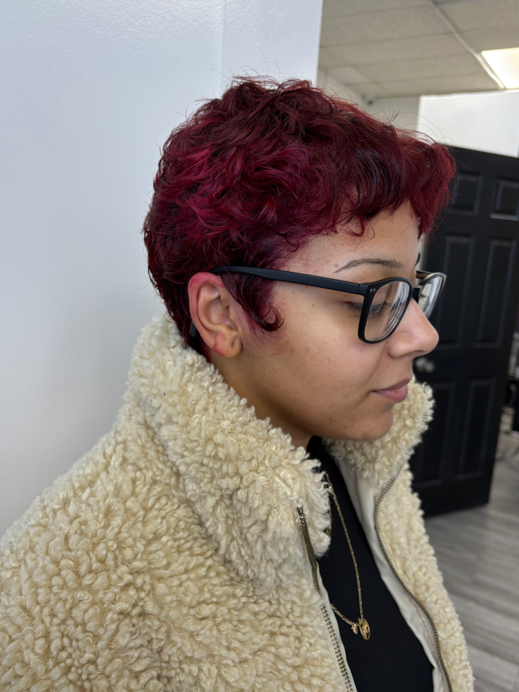 Vivid Color + Cut + Style at Barbiez Studios in Wichita, KS