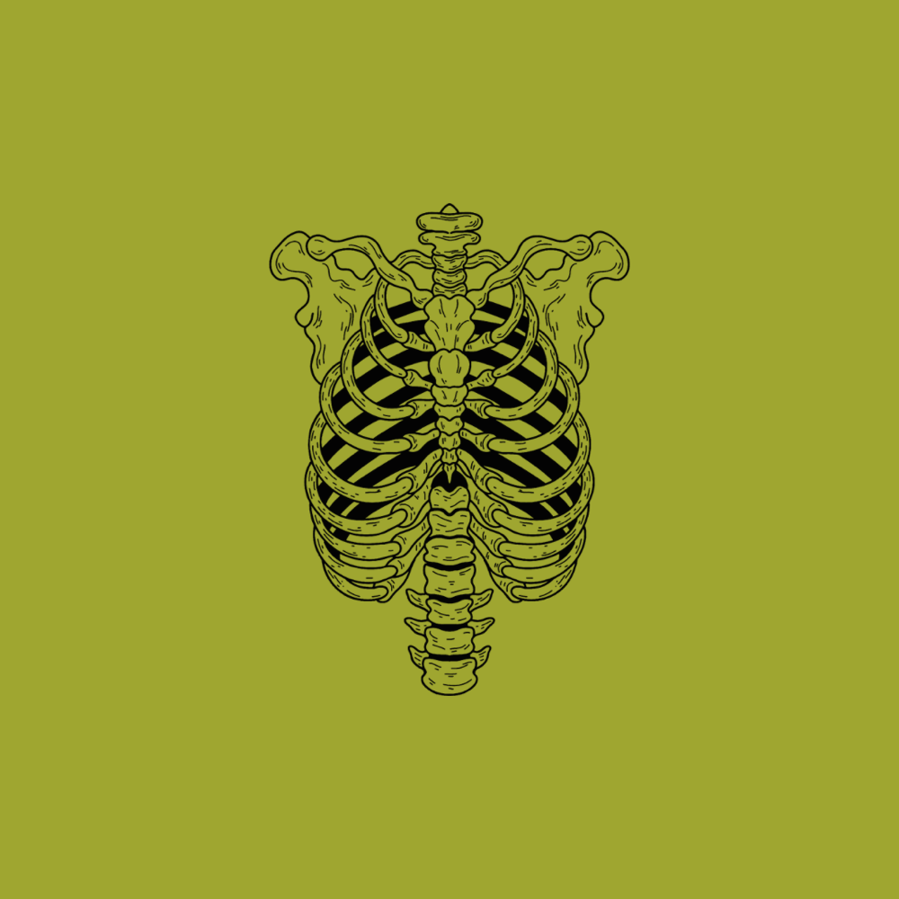 Full Chest