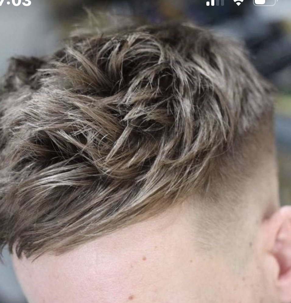 mens Highlights