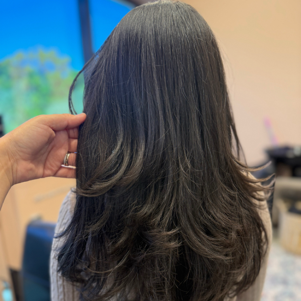 BLOWDRY ONLY at Bella Balayage Hair Studio in Palm Beach Gardens, FL