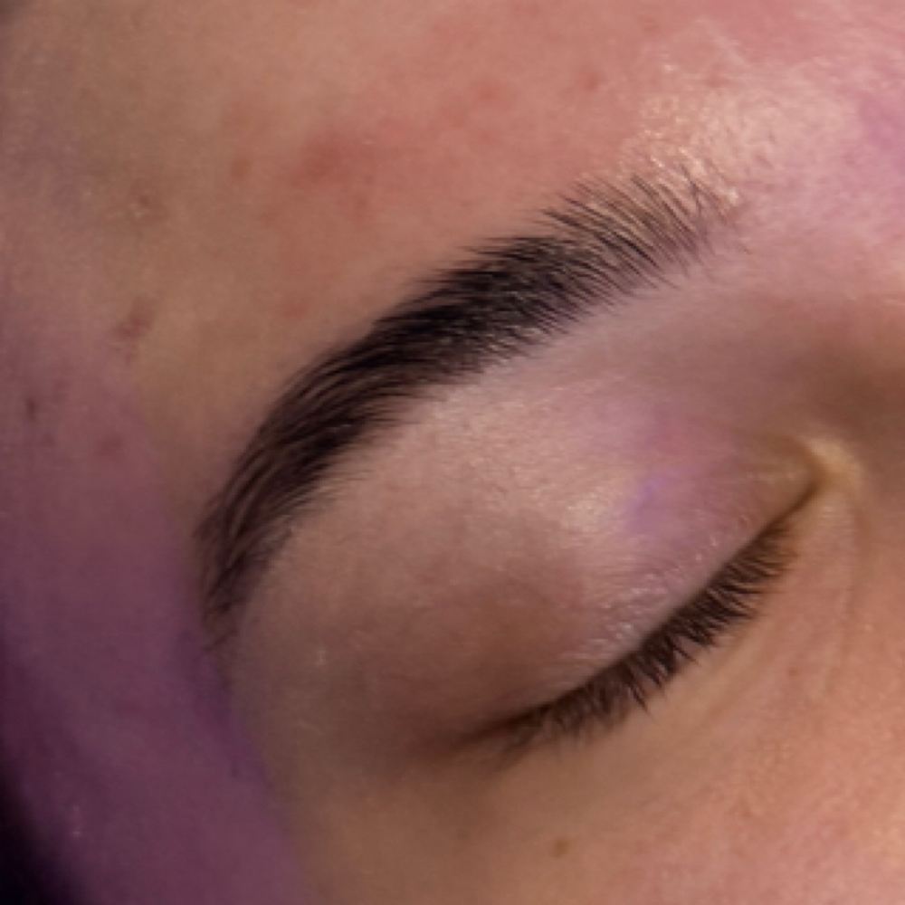 Eye Brow Services at The 3D Skin Studio in Marietta, GA