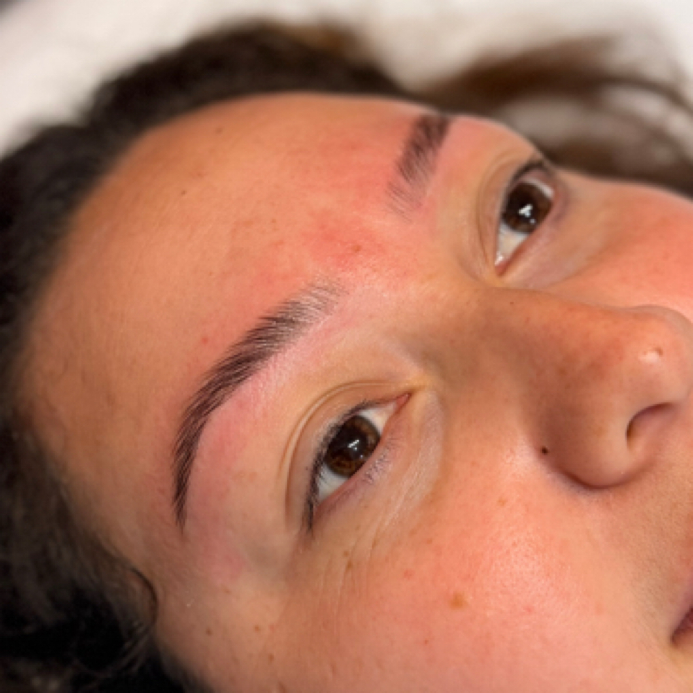Eyebrow Tint & Wax at Babe Cave Esthetics in Antioch, CA
