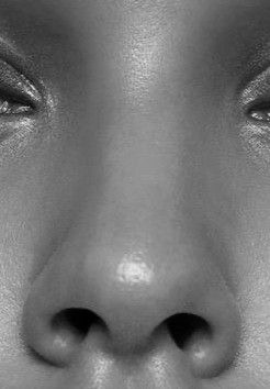 Nose