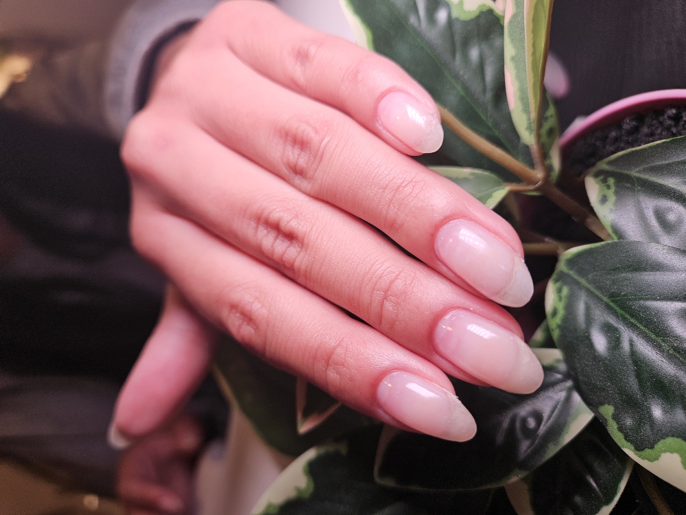 Gel Overlay