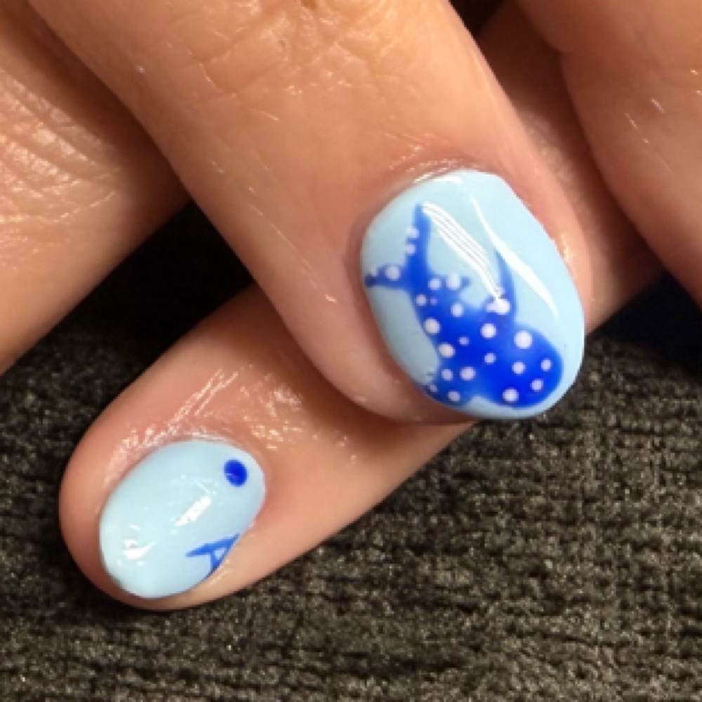 Hard Gel at Sparrows in Colorado Springs, CO