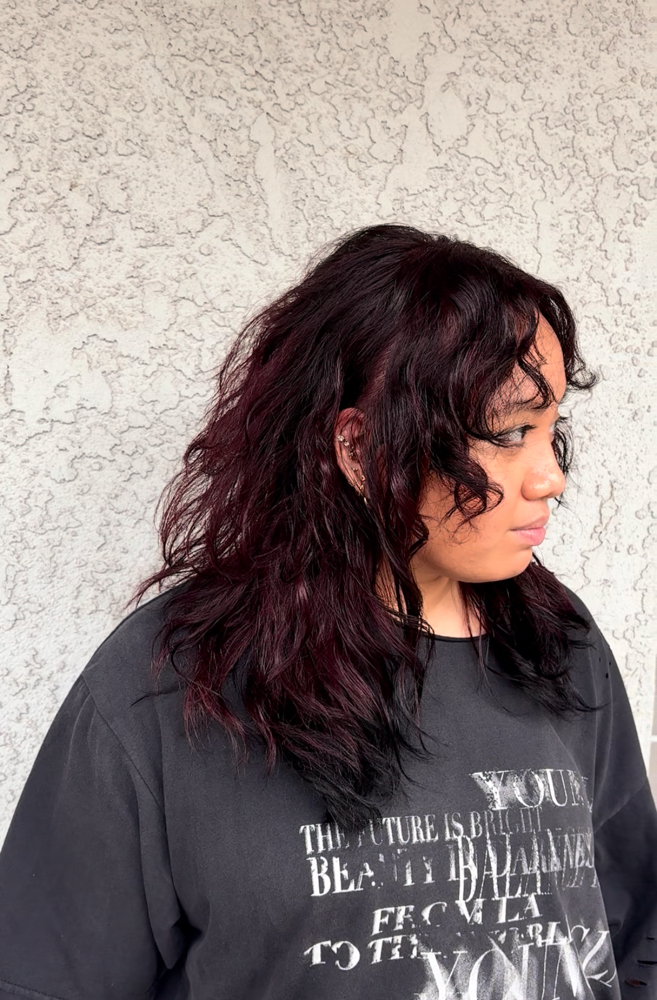Single Process Color at Thee Mad Hairdresser in Fresno, CA