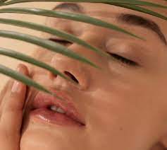 Holistic Oily Skin & Acne Treatment