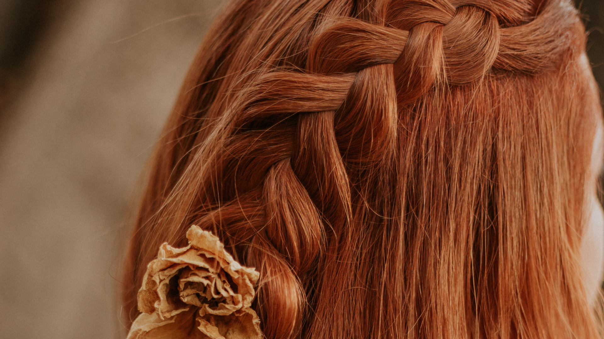 Add On Braid at The Journey Salon in Katy, TX