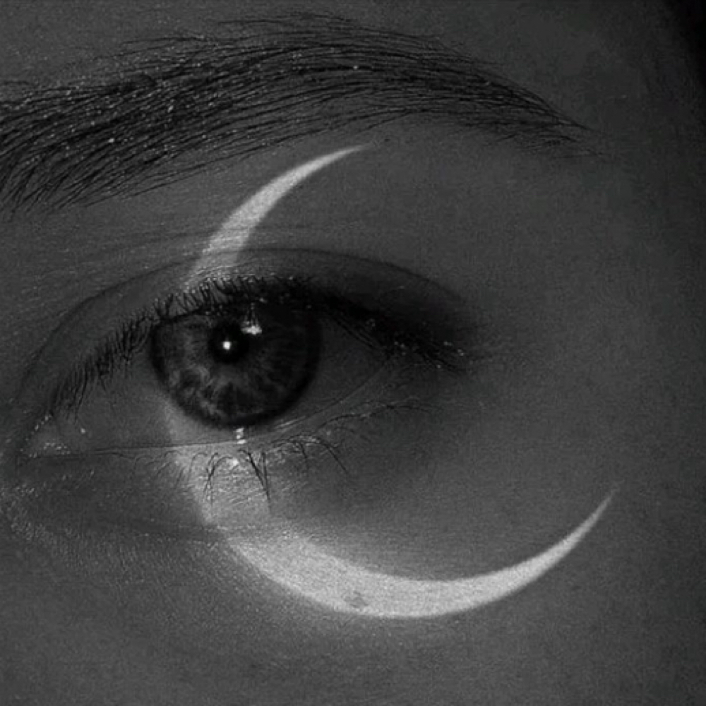 Brows + Lash  | Maintnance Muse at Pink Moon Aesthetics in Santa Fe, NM
