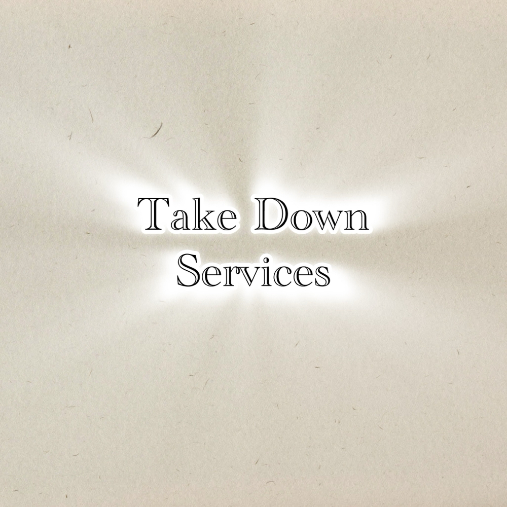 Take Down Services✨