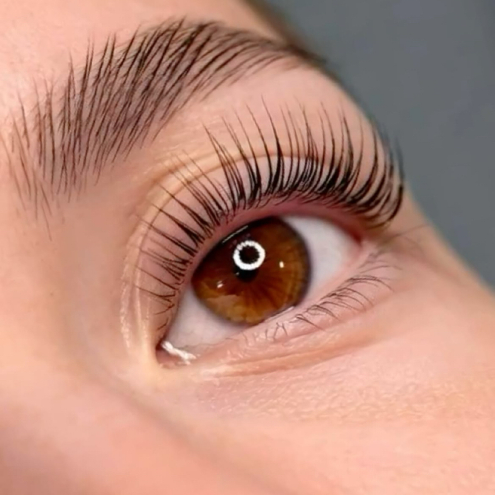 Korean Lash Lift at Lily Lashess in Fremont, CA