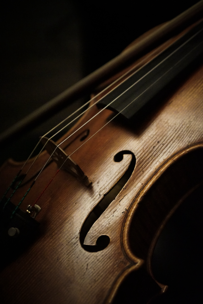 Trial Private Violin Lesson