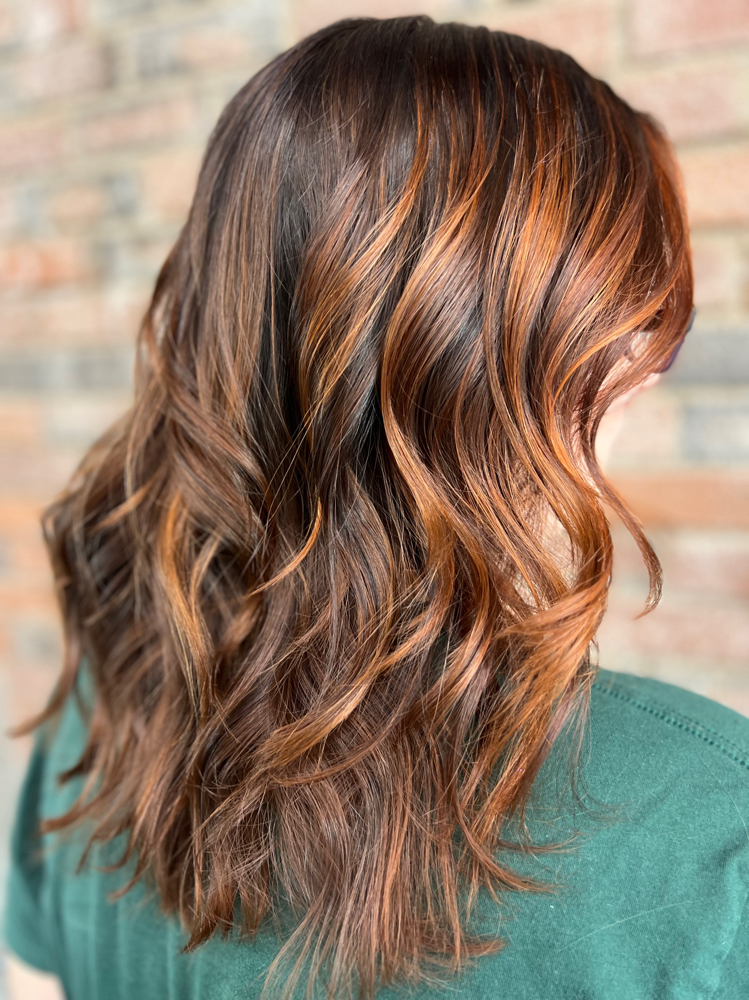 Reverse Balayage/Haircut