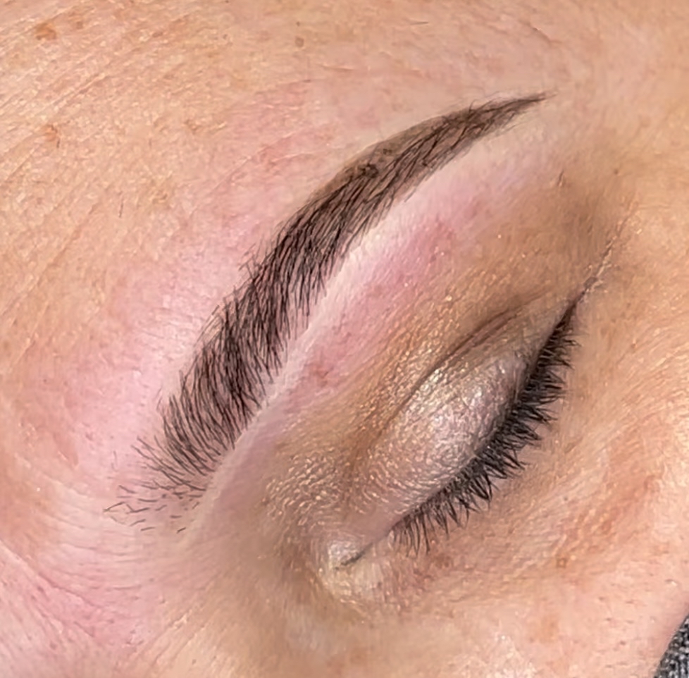 Brow Tint w/ Wax & Shaping at True Beauty LLC in Hobart, IN