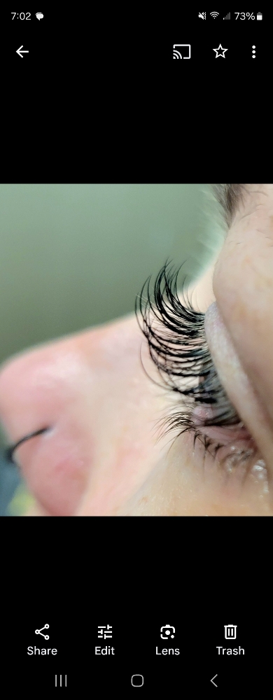 Lash Tint Only