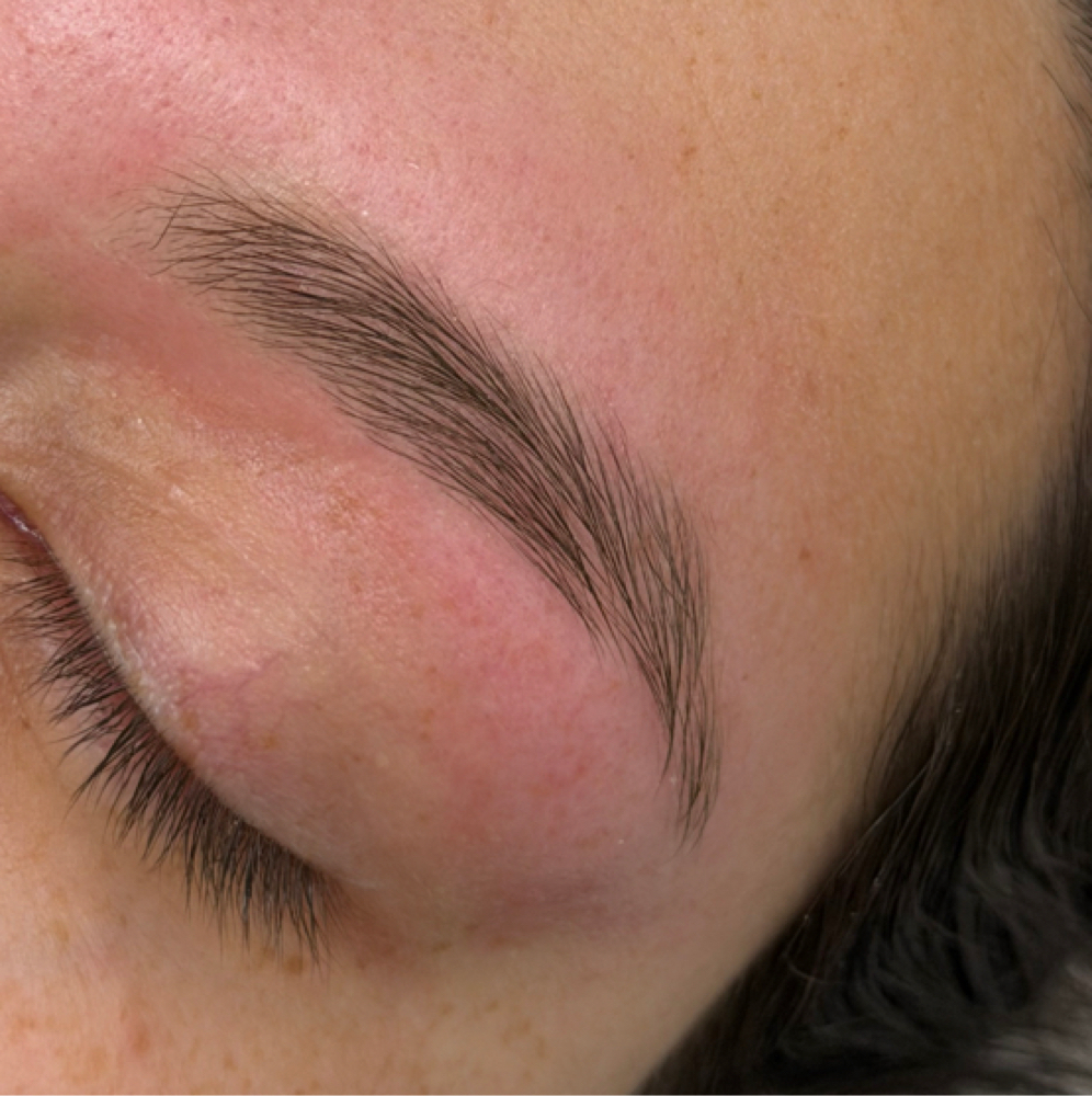 Brow Wax + Mapping at Esthetixbyame in Scott’s valley, CA