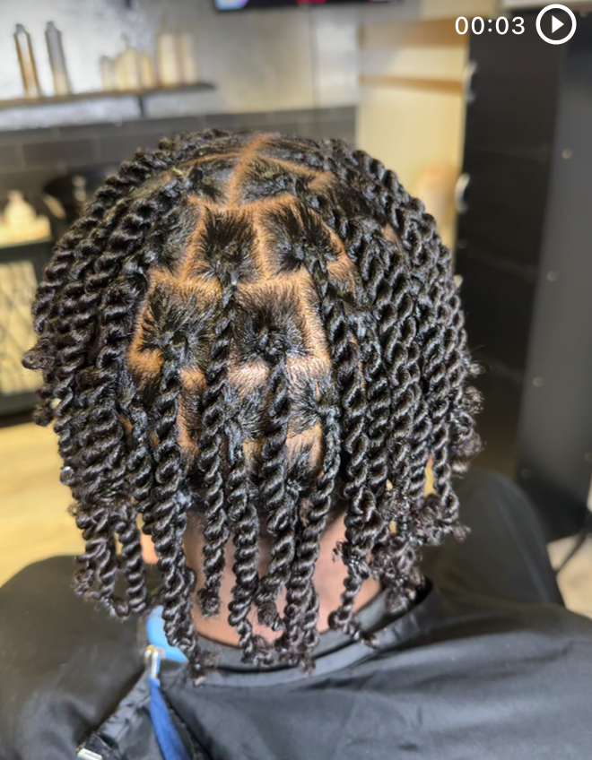 2 Strand Twist (Natural hair)