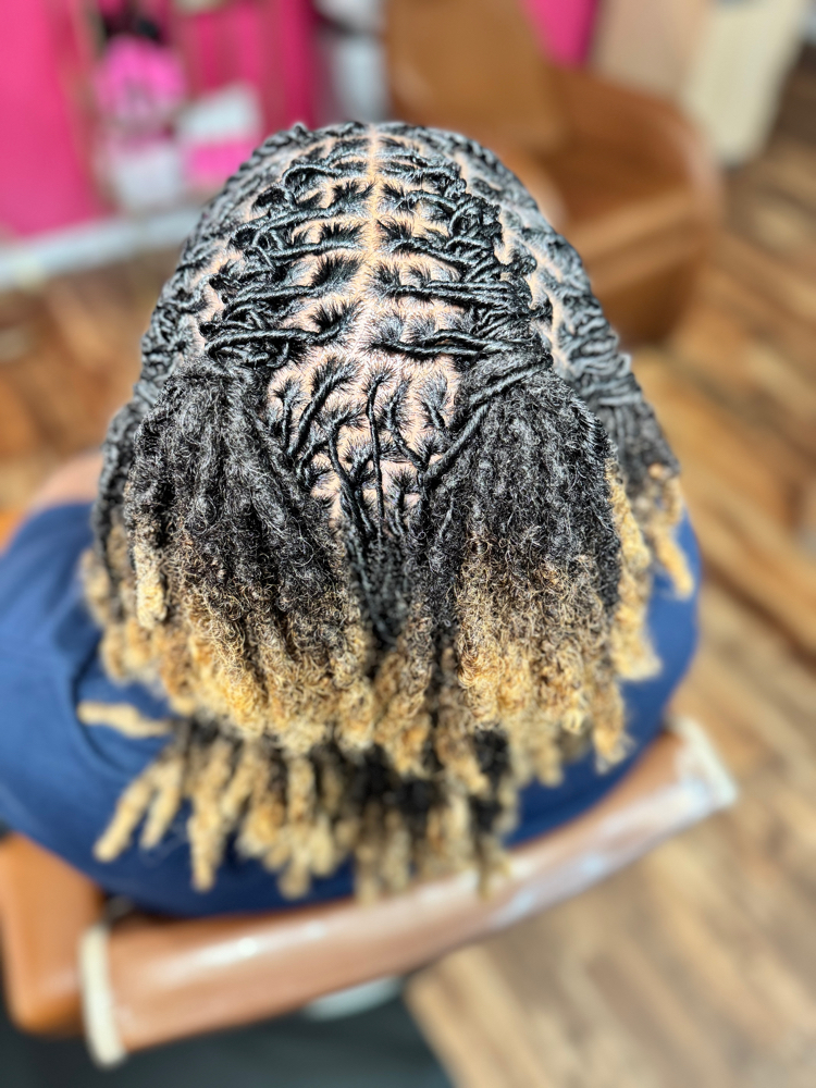 Small Loc Retwist, Shampoo/style
