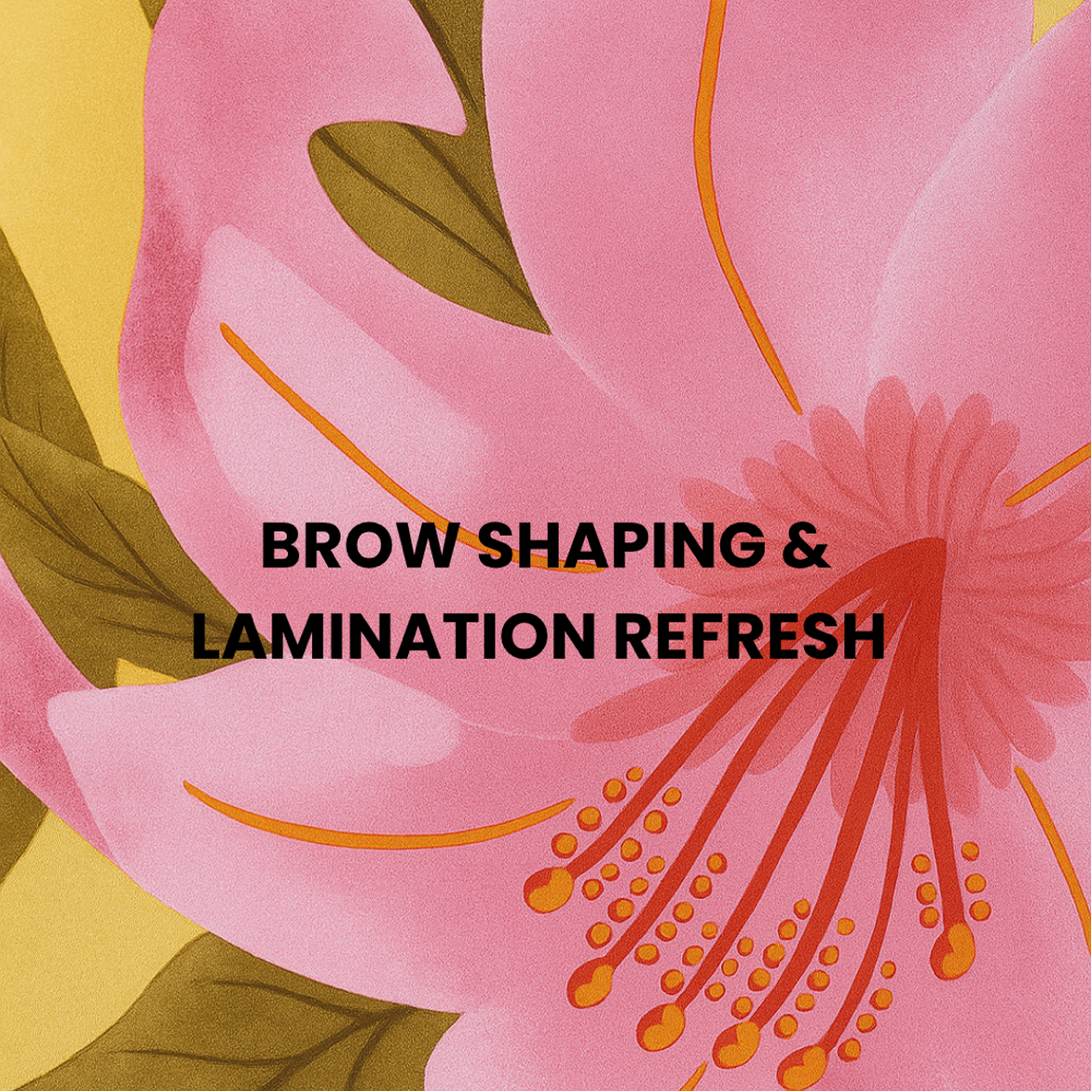 Brow Shaping & Lamination Refresh at Archemy Brows & Beauty in Anchorage, AK