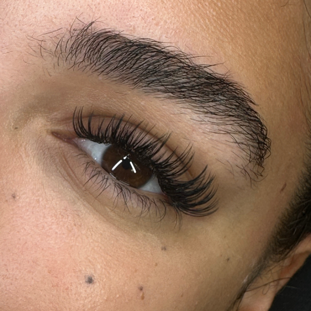 Arie Set - Wispy Volume at Le’von Lash House of Beauty in Lakeland, FL