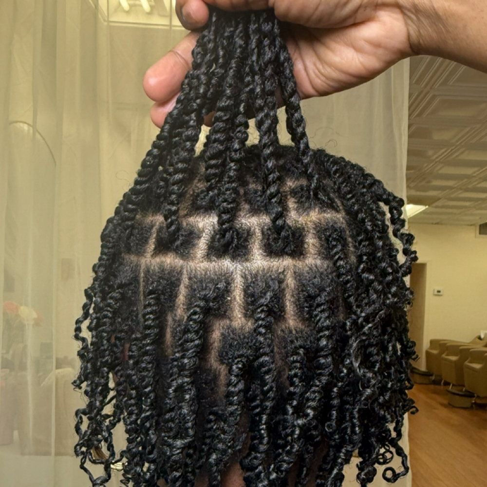 Mini Twists at Purebana HairCare Retreat in Royal Oak, MI