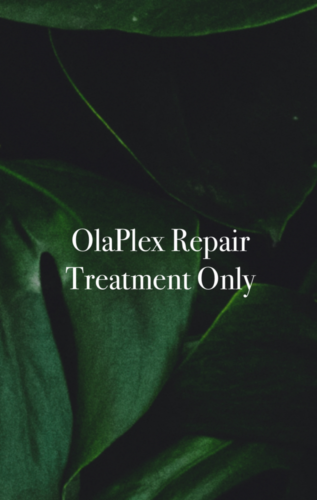 Olaplex Repair Treatment Only at Anestie Beauty Lounge in Franklin Square, NY