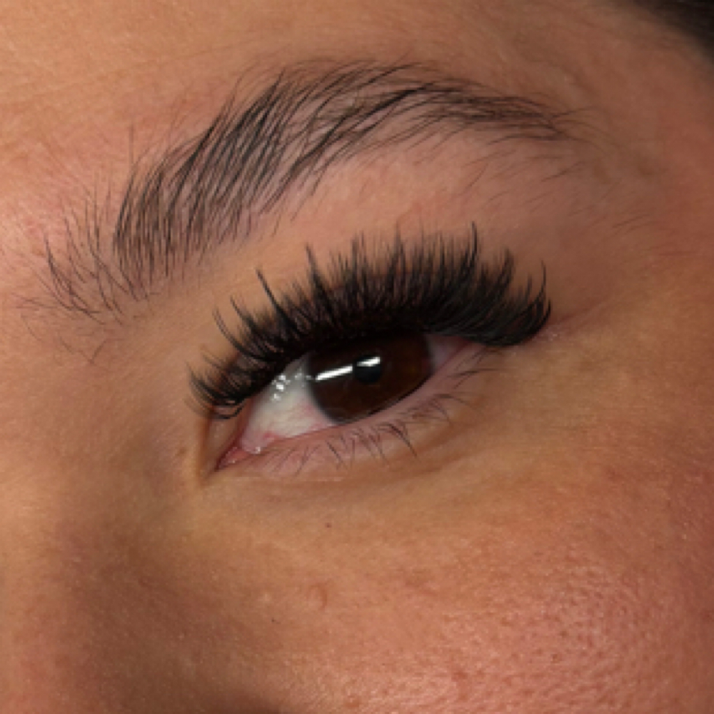Volume at Mads’ Lash Society in Nixa, MO