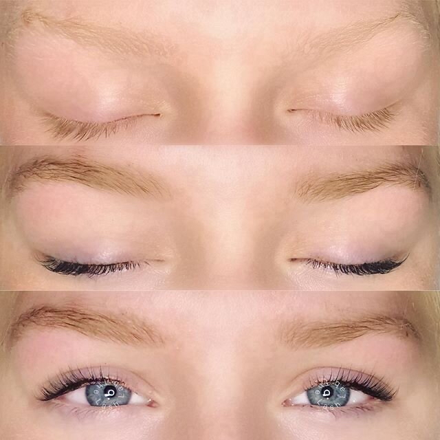 Eyebrow Wax, Tint & Lash Tint