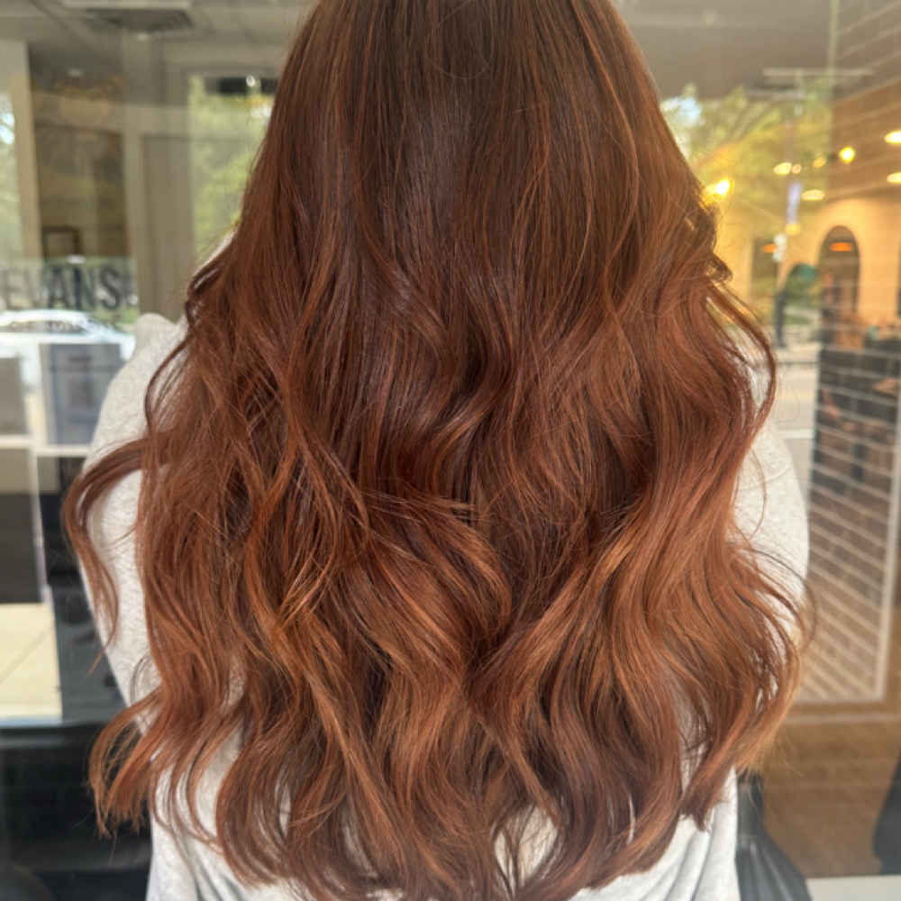Gloss/tone at Hair By Holly @ Blush + Ivy in Wheaton, IL