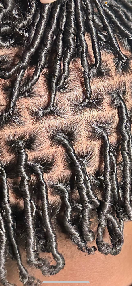 Starter locs Comb Coils