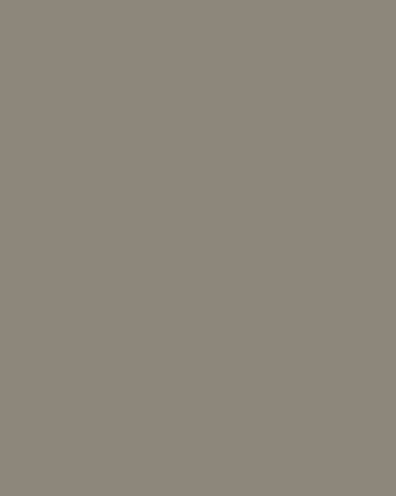 Toner (Demi-permanent Color)